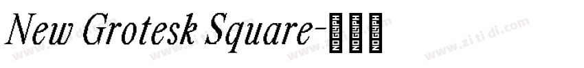 New Grotesk Square字体转换 New Grotesk Square字体转换